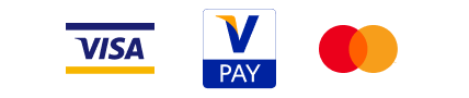 Maestro Mastercard Visa Vpay